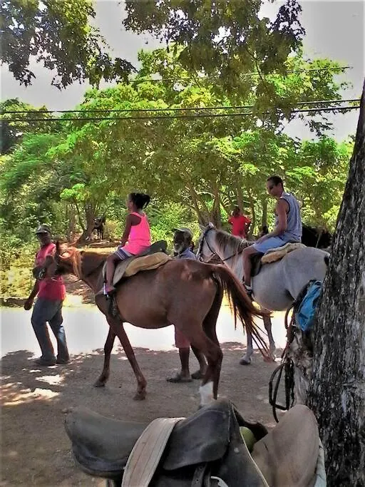 Ferienwohnung Idilio Escape Ocho Rios