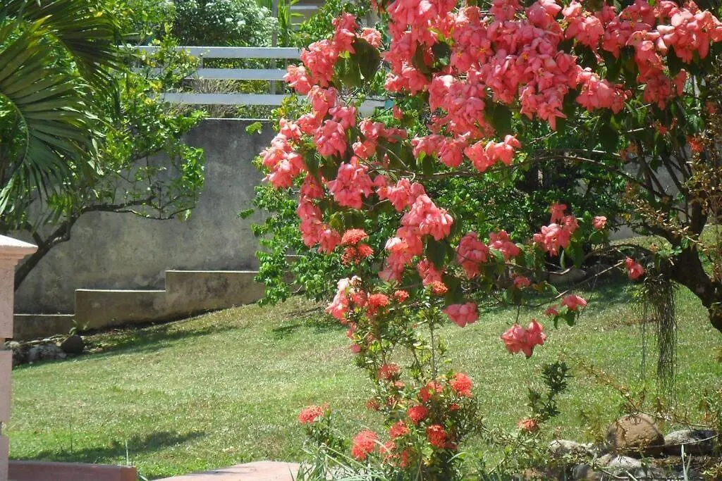 Apartamento Idilio Escape Ocho Ríos